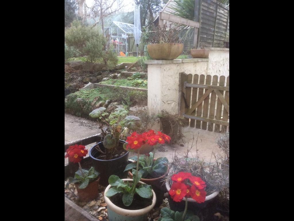 블래그던 School Farm B&B 외부 사진